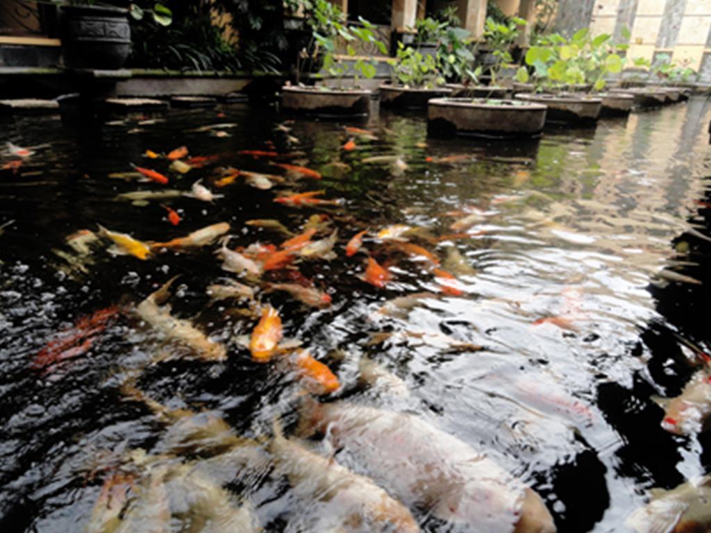 Lotus Garden Hotel Kediri  Exteriér fotografie